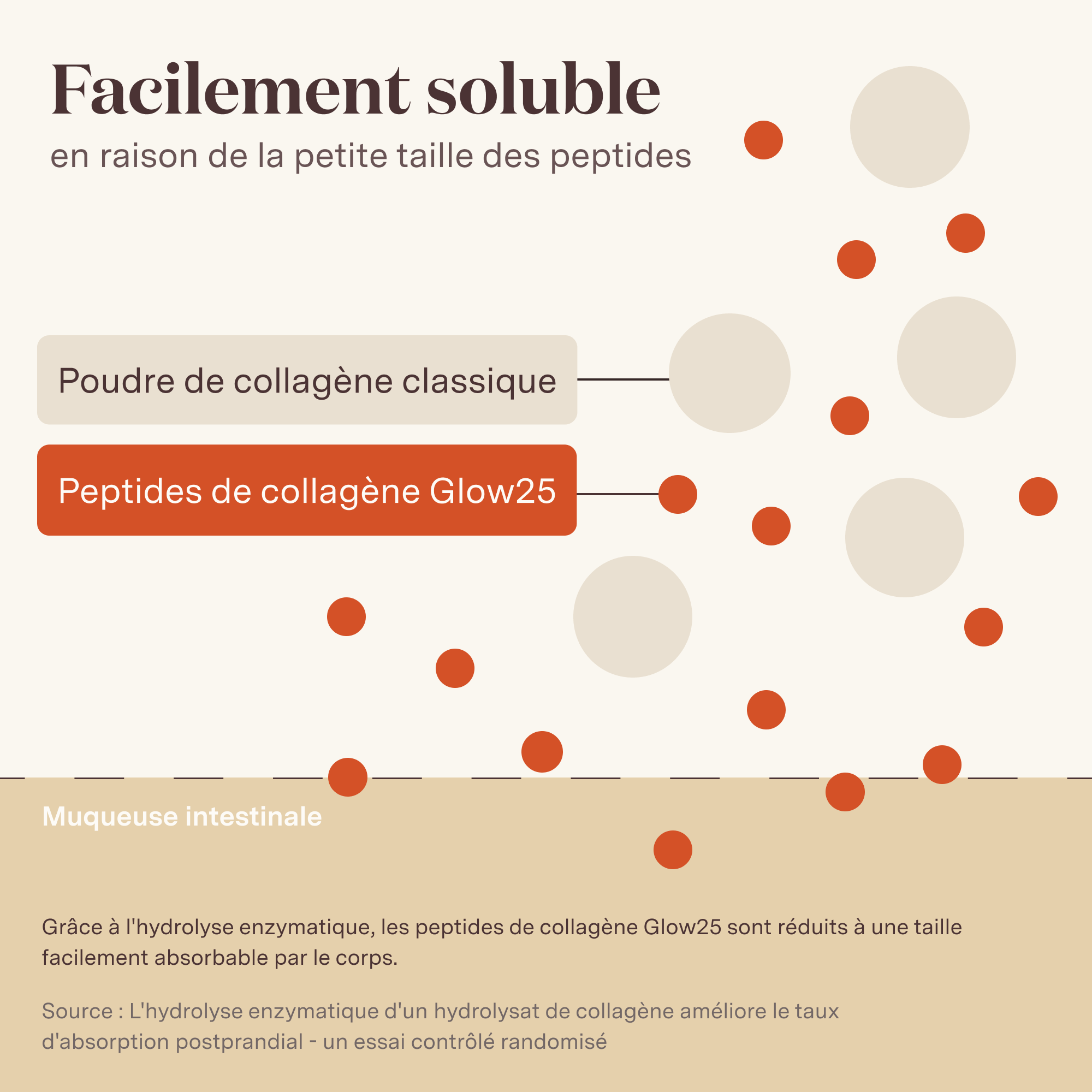 Collagène Glow25 - Notre formule originale enrichie en vitamine c