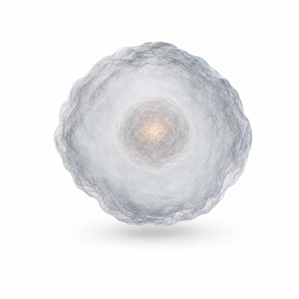 Cellula con riserve di creatina quasi vuote