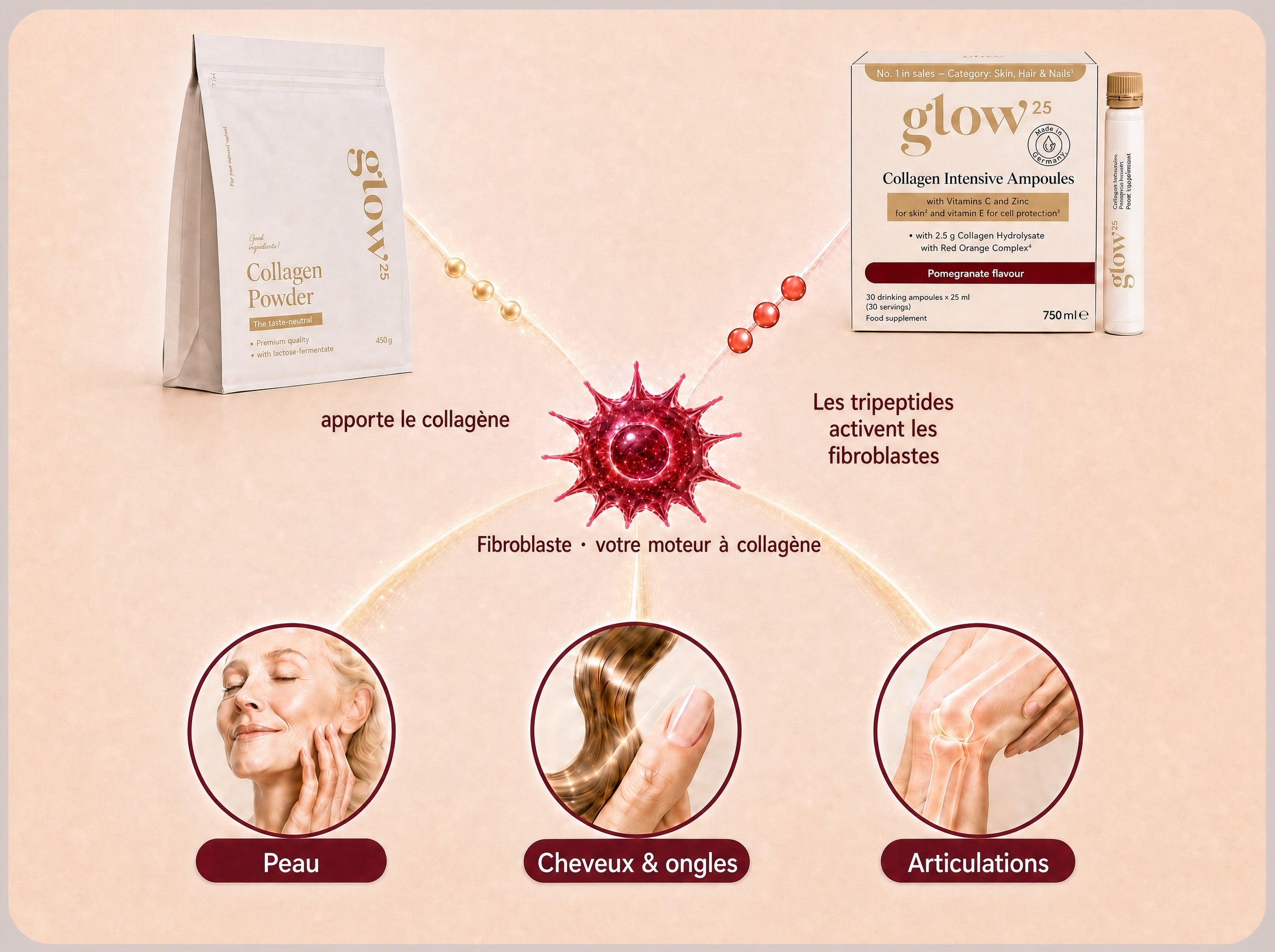 Poudre de collagène et Ampoules Collagène Intensif activent ensemble le moteur à collagène