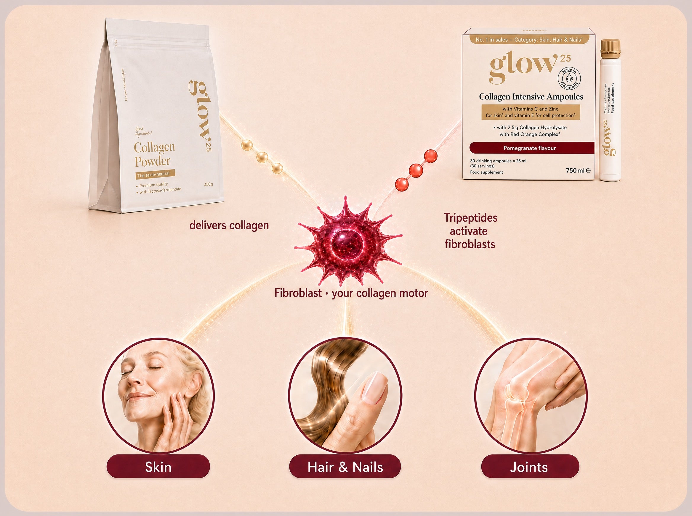 Collagen powder and Collagen Intensive Ampoules together activate the fibroblast that supplies skin, hair, nails and joints
